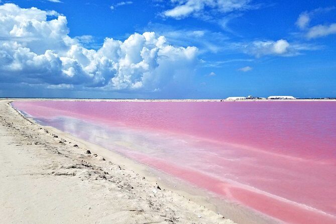 Relaxing Day at Las Coloradas Natural Pink Lake! From Cancun & Riviera Maya - The Realistic Value of This Tour