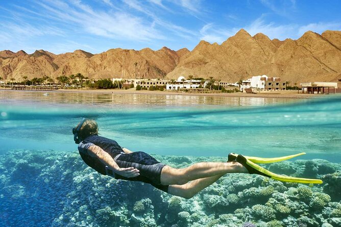 Relaxing Day Tour To Red Sea At Ain El Sokhna From Cairo - Tour Details and Inclusions