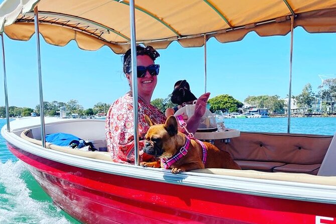 Relaxing Eco Friendly Electric Picnic Boat Cruise on the Noosa River - The Sum Up