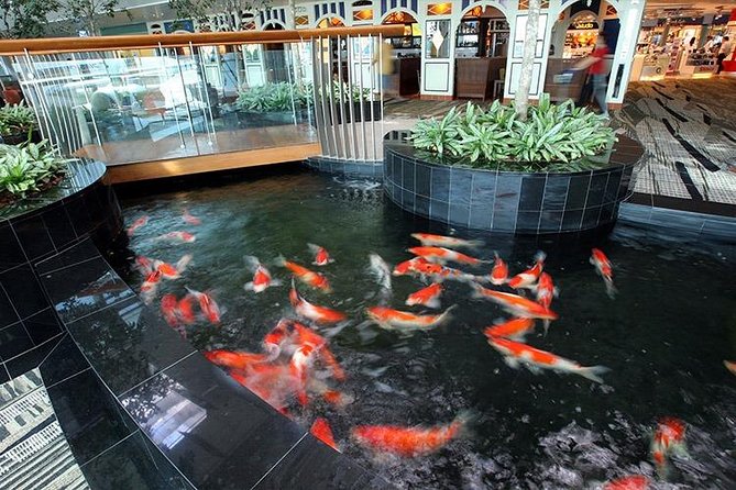 Relaxing Environment in Dubai Butterfly Garden - A Paradise for Butterfly Enthusiasts