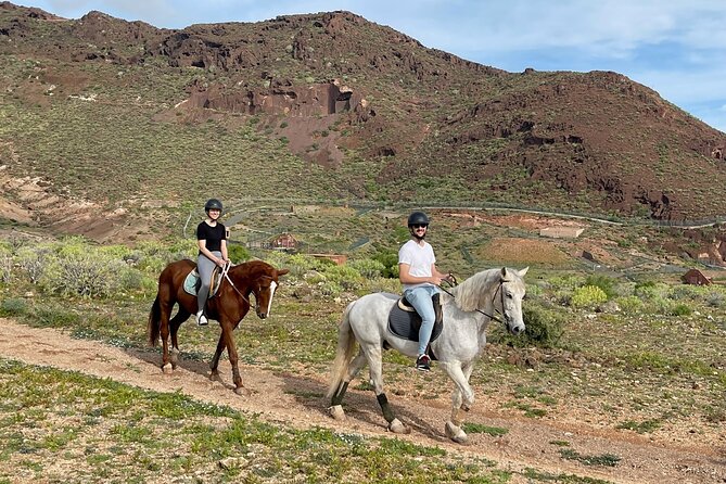 Relaxing Horse Riding Tour in Gran Canaria - Reviews and Photos