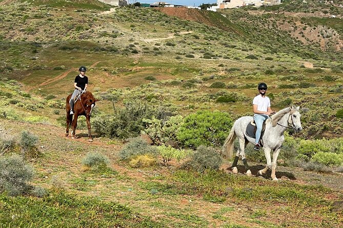 Relaxing Horse Riding Tour in Gran Canaria - Common Questions