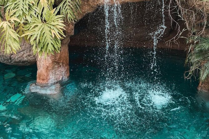 Relaxing Hotsprings and La Fortuna Waterfall Tour - Inclusions