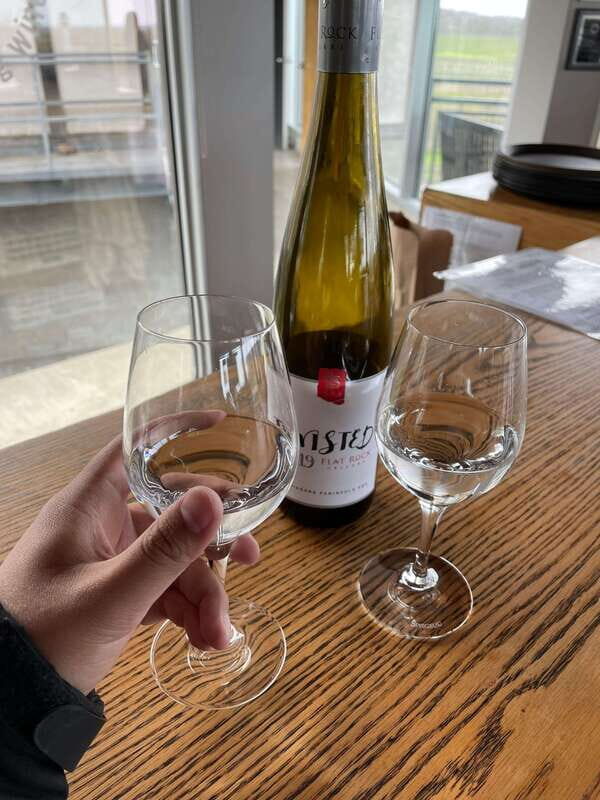 Relaxing Lunch & Wine Tour through Niagara's Wine Country - An In-Depth Look at the Tour Experience