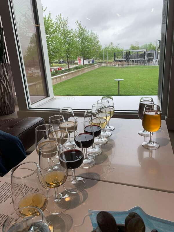 Relaxing Lunch & Wine Tour through Niagara's Wine Country - Who Will Love This Tour?