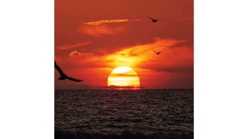 Relaxing Sunset/Evening Cruise in Newport Beach - Relaxing Sunset/Evening Cruise in Newport Beach