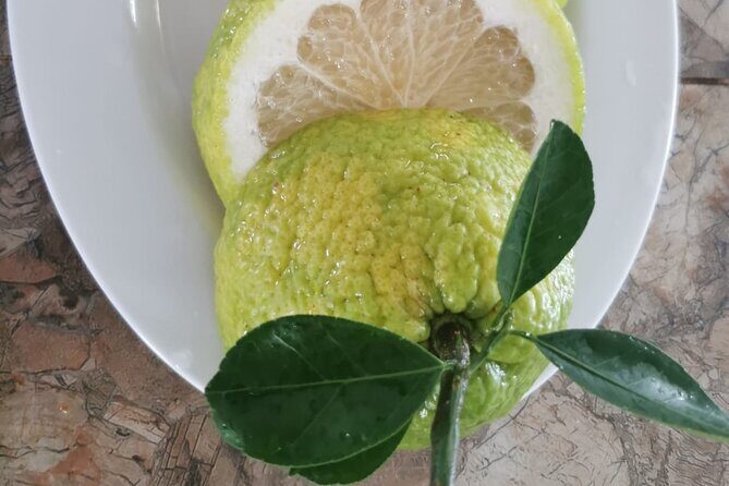 Relaxing Tours in Tropical Paradise Fiji - Final Thoughts