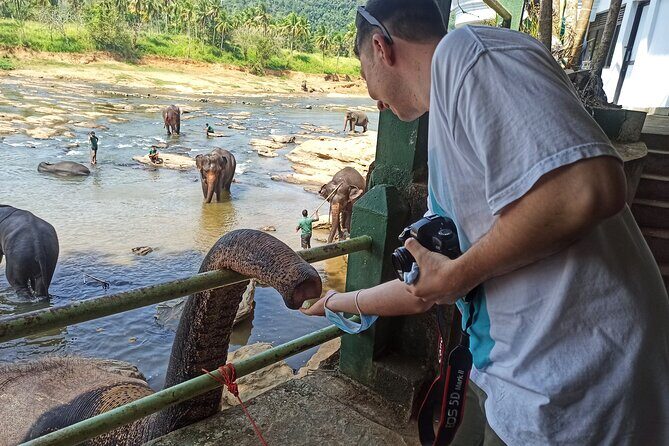 Reliable Airport Transfers and Tours in Sri Lanka - Good To Know