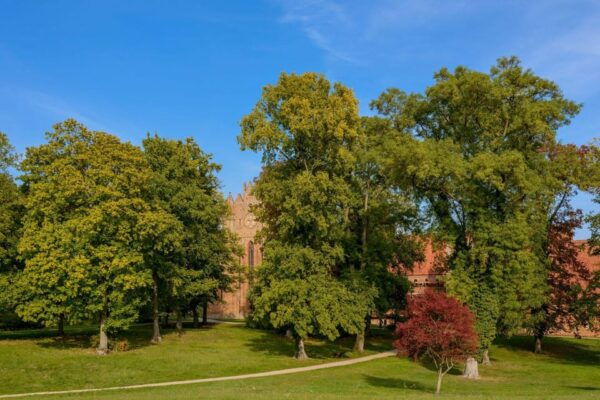 Remarkable Corners of Potsdam – Private Family Walking Tour - Tips for Your Tour
