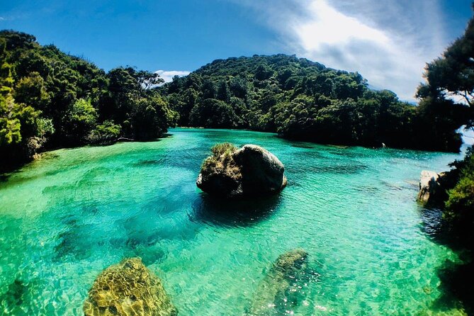 Remote Marine Reserve - Guided Kayaking - New Zealand - Additional Information for Visitors