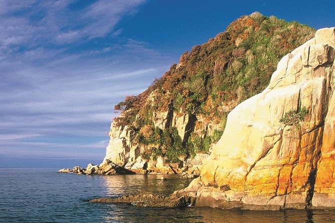 Remote Marine Reserve - Guided Kayaking - New Zealand - Common Questions