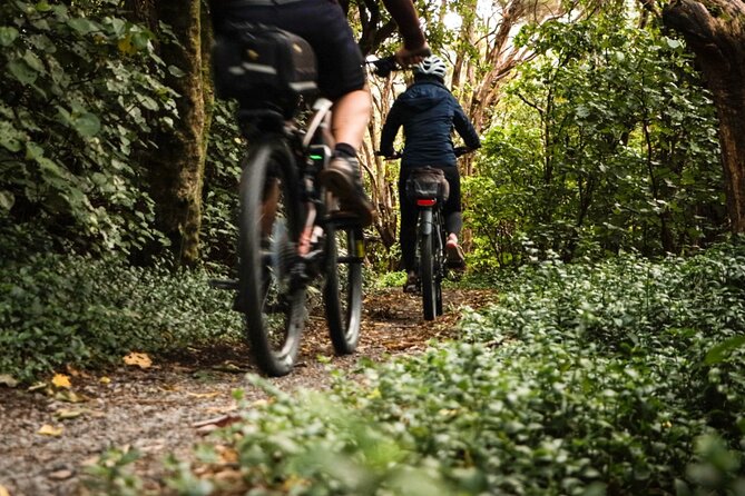 Remutaka Rail Trail Ebike Explorer Cycle Tour - Overview and Inclusions