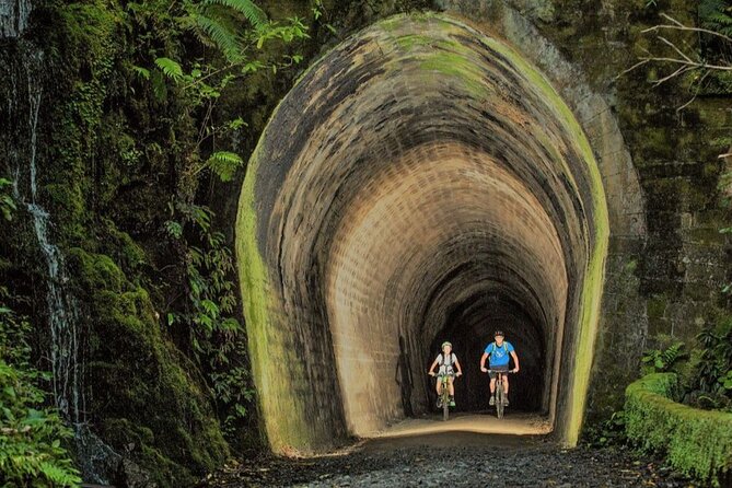 Remutaka Rail Trail Ebike Explorer Cycle Tour - Trail Highlights