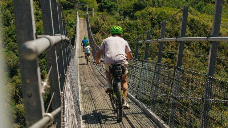 Remutaka Rail Trail Ebike Shore Excursion for Cruise Ships - Availability and Starting Times