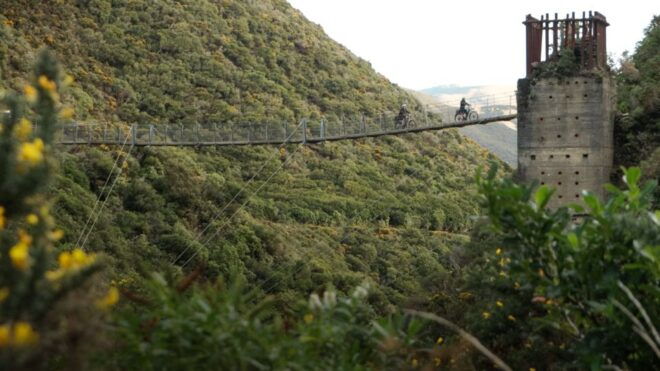 Remutaka Rail Trail Ebike Shore Excursion for Cruise Ships - Pick-up Instructions