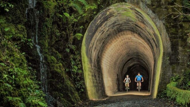 Remutaka Rail Trail Ebike Shore Excursion for Cruise Ships - Additional Options