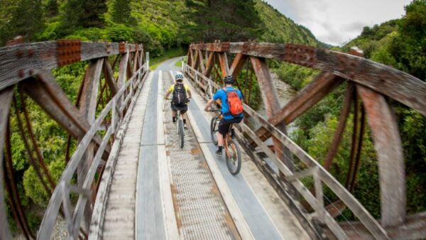 Remutaka Rail Trail Ebike Shore Excursion for Cruise Ships - Common Questions
