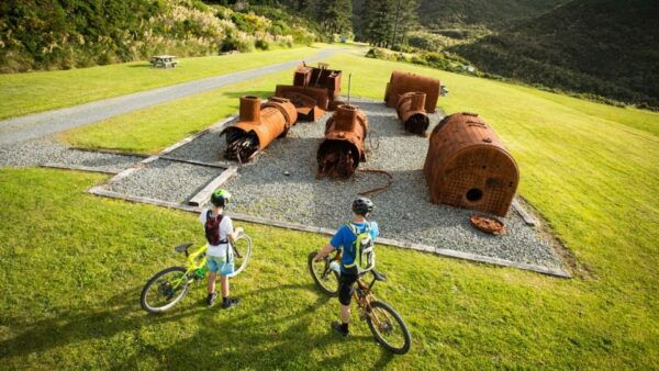 Remutaka Rail Trail Ebike Shore Excursion for Cruise Ships - The Sum Up