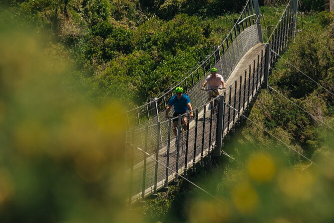 Remutaka Rail Trail Explorer - Ebike Cruise Ship Shore Excursion - Limitations and Requirements