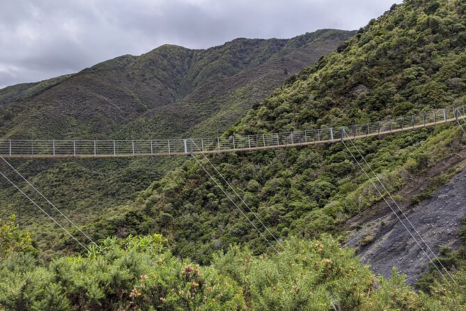 Remutaka Rail Trail Explorer - Ebike Cruise Ship Shore Excursion - Cancellation Policy