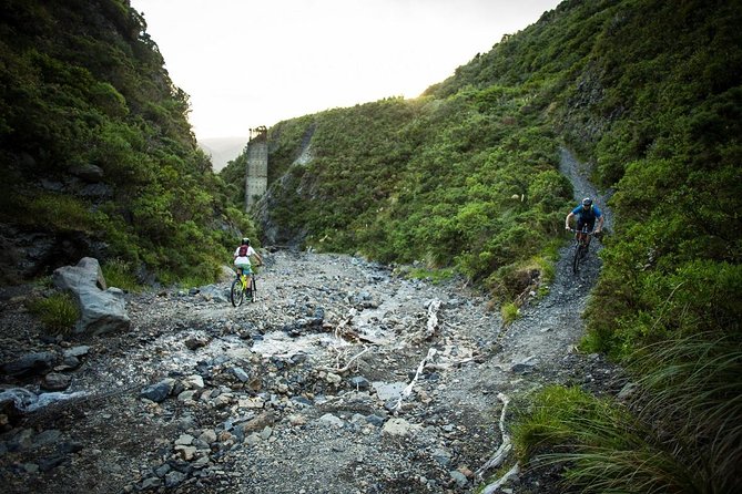 Remutaka Rail Trail Explorer - Ebike Cruise Ship Shore Excursion - Dietary Restrictions and Preferences