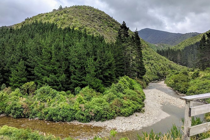 Remutaka Rail Trail Explorer - Ebike Cruise Ship Shore Excursion - Common Questions