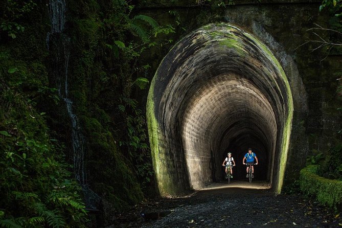 Remutaka Rail Trail Explorer - Ebike Cruise Ship Shore Excursion - The Sum Up