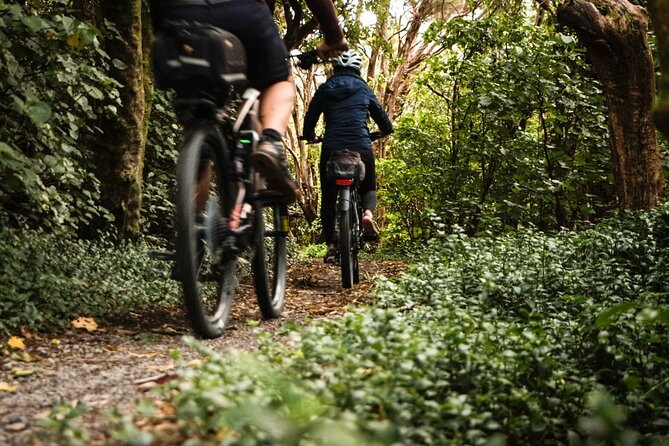 Remutaka Rail Trail Mountain Bike Explorer Cycle Tour - Meeting and Pickup Details