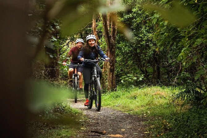 Remutaka Rail Trail Mountain Bike Explorer Cycle Tour - Common Questions