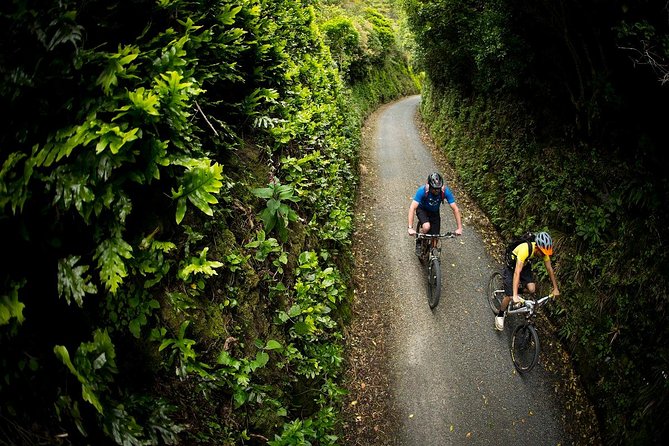 Remutaka Rail Trail Mountain Bike Explorer Cycle Tour - Cancellation Policy