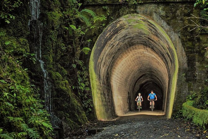 Remutaka Rail Trail Mountain Bike Explorer Cycle Tour - The Sum Up