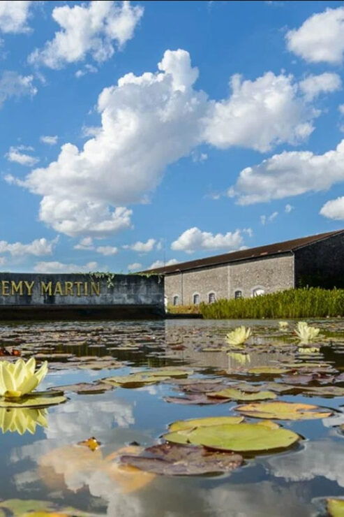 Rémy Martin Discover the Production Site by Train - Key Points