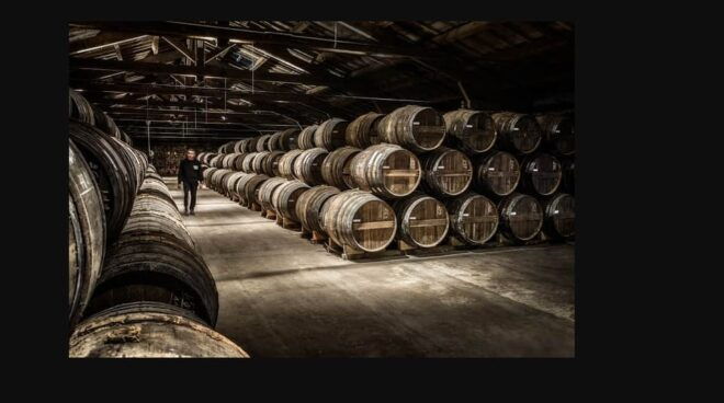 Rémy Martin Discover the Production Site by Train - The Merpins Production Site