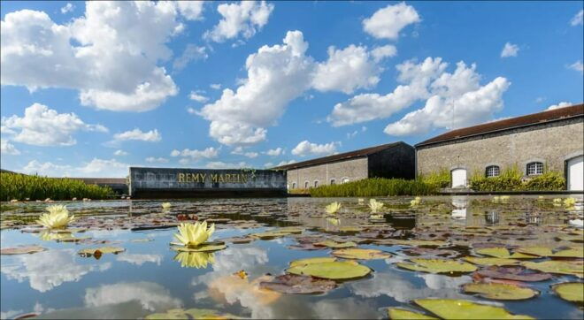 Rémy Martin Discover the Production Site by Train - Tasting Experience Details