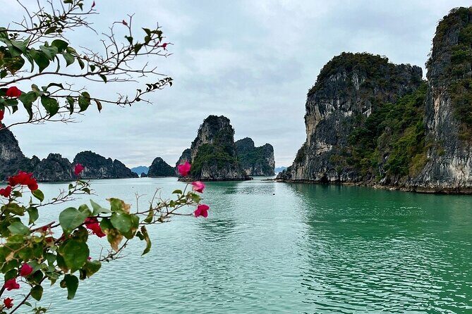 Renea Cruise Best Boutique Cruise 2 Days 1 Night in Bai Tu Long - An In-Depth Look at the Renea Cruise Experience