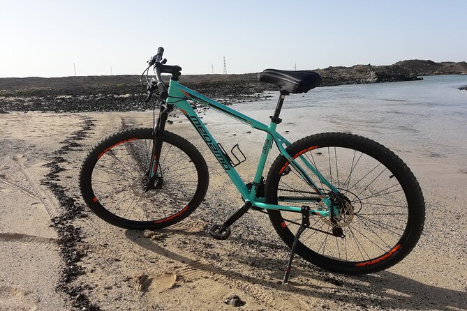 Rent A Bike (eletric & Normal) Costa Calma - The Sum Up