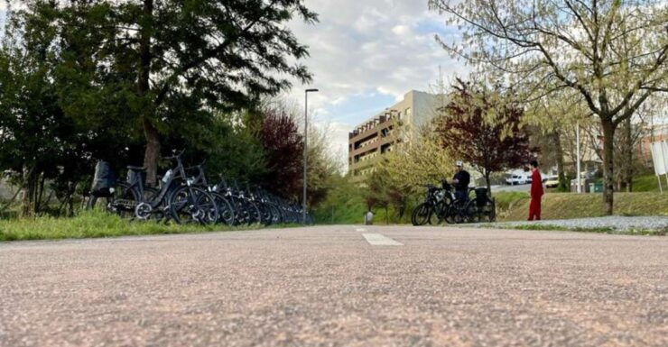 Rent-A-Bike: Explore 40 Km of the Old Tâmega Railway Line - Experience Highlights