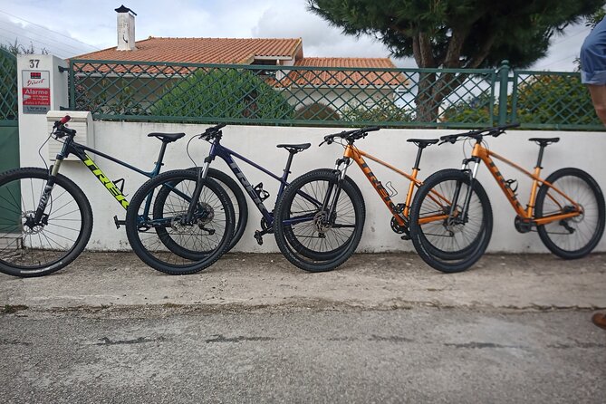 Rent a Bike Full Day From Coimbra - Activity Start Time: 09:00 Am