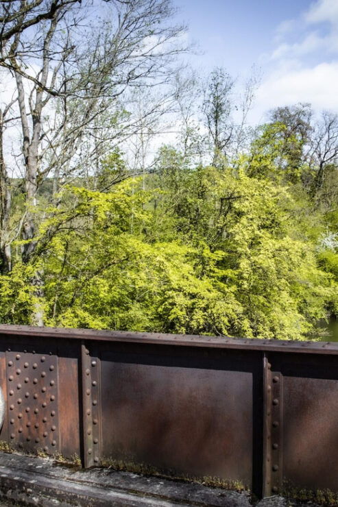 Rent a Bike in Paris - Scenic Routes to Explore