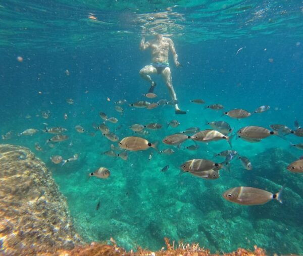 Rent a Boat up to 6 Person on Cape Kamenjak Nature Park - Booking Process and Options