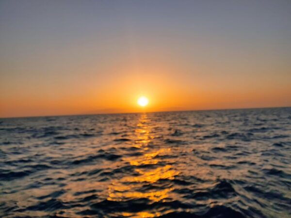Rent a Boat With No License, Self Drive - Discovering Tenerife From the Sea