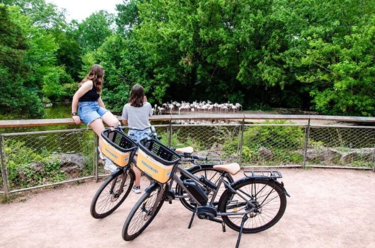 Rent a Ebike for a Half-Day (-4h) - Booking Information