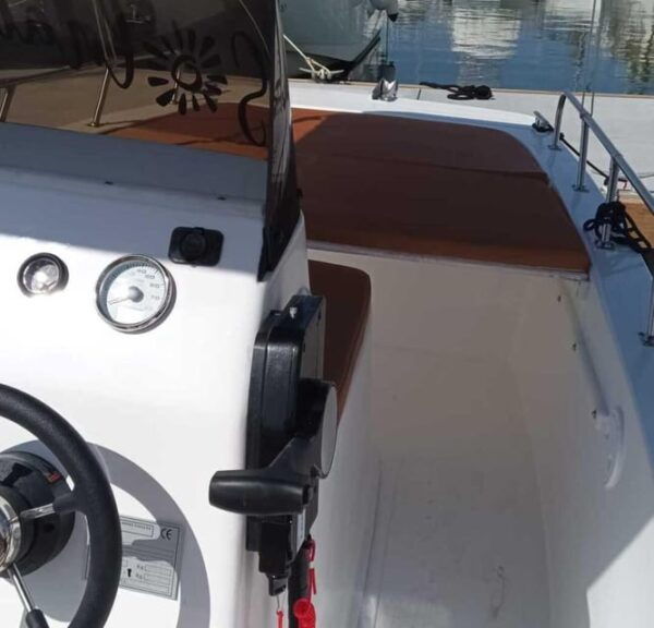 Rent a Private Boat Without a License for Dolphin Watching - Pricing and Booking