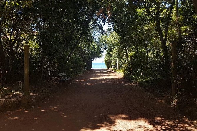 Rent a Speed Boat and Explore Beaches and Coves of Elaphiti Islands - Speed Boat Rental Details