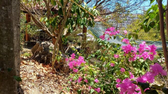 Rent a Tent to Eat and Party at Co Tien Lu Restaurant - Booking Process