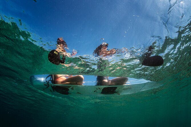 Rent a Transparent Kayak - Discover the Underwater Magic - An In-Depth Look at the Transparent Kayak Experience