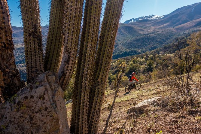 Rent an Electric Mountain Bike in Santiago to Ride in a Bike Park - Electric Mountain Bike Tour Overview