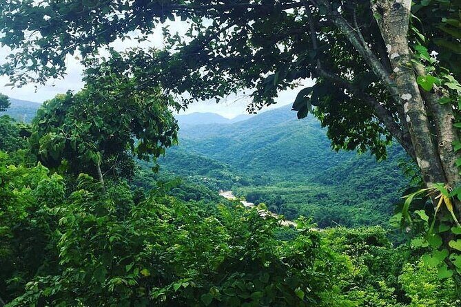 Rent DE mountain bikes - Good To Know