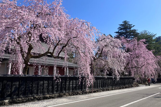 Rental Bicycle With Electric Assist / Satoyama Cycling Tour - Pricing and Booking Details