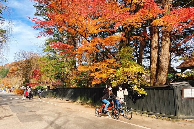 Rental Bicycle With Electric Assist / Satoyama Cycling Tour - Overview of Inclusions